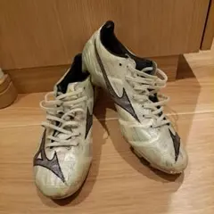 Item thumbnail for item 1d6d30f6-5311-4cb4-9706-be9bb1d38f2b