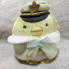 すみっコぐらし　てのりぬいぐるみ ぺんぎん？