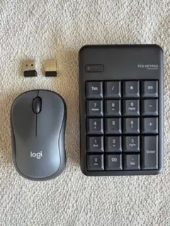 Logicoolマウス / ELECOMテンキーセット