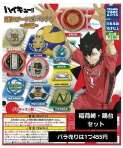 ハイキュー！！　高校モチーフピンバッチ３　稲荷崎　鴎台 新品未開封