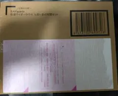 S.H.figuarts 真骨彫 仮面ライダークウガ　九郎ヶ岳の死闘