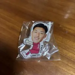 Item thumbnail for item 1ef2744e-80f9-4656-beb0-81c6b71b52a5