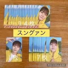 seventeen 　トレカ　CARAT盤  ランダム　スングァン　22枚