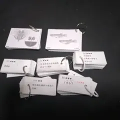 【値下げ】SAPIX2026年受験用　暗記カード理科・社会