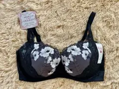 wing kirei メリハリブラ　D70