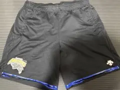 Panasonic PANTHERS ゲームパンツ