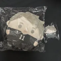 ハイキュー くじメイト ぬいくじ ふわコロりん C賞 E賞 宮治