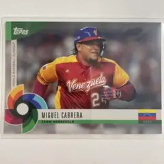 Item thumbnail for item 9c773525-d21d-409f-8d41-0e38688427cf