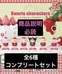 いちごめじるアクセサリー 全6種 コンプリートセット サンリオキャラクターズ