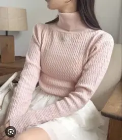 NICE CLAUP ミニケーブルタートル