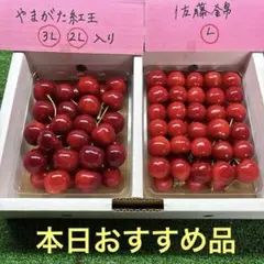 山形県産 さくらんぼ ✿やまがた紅王 3L 350gと佐藤錦 L 350gセット 
