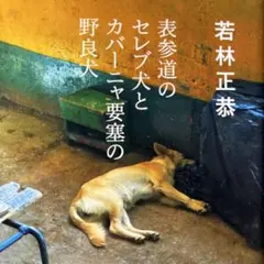 表参道のセレブ犬とカバーニャ要塞の野良犬／若林正恭