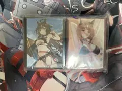 The Fallen & The Virtuous スリーブ - メルカリ