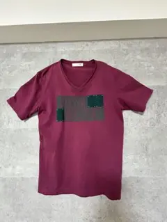 【セレクトショップ購入】グラフィックＶネックTシャツ 赤色 古着old y2kのサムネイル