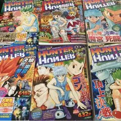HUNTER×HUNTER Treasure総集編 6冊セット