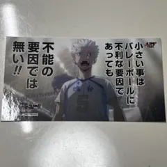 2026年最新】全11種セット 「ハイキュー!! 合同練習会2022 缶バッジ