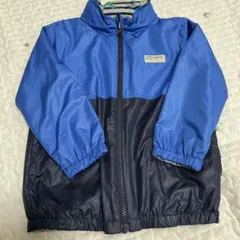 恐竜 ジャケット