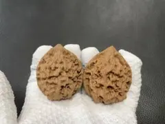 2025年最新】遊ぶ胡桃の人気アイテム - メルカリ