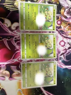 ポケモンカード チコリータ 373/SM-P ポケモンカードステーション