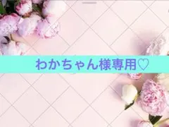わかちゃん様専用ページです♪