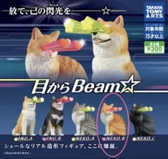 【新品未開封品・即日発送】目からBeam 目からビーム NEKO B 猫ガチャ②