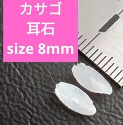 カサゴ 耳石 お守りパワーストーン天然石宝石開運受験生物学　F65