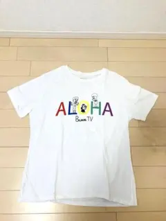 Item thumbnail for item ccb1a223-66b6-47b6-a48e-f993ebc737d5