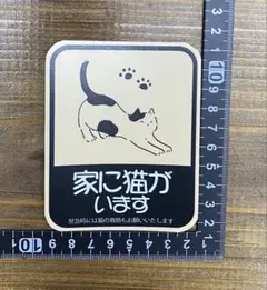 Item thumbnail for item 8c376b1c-0dba-4eab-9259-cdaa005eddc1