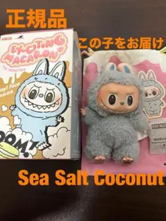 ラブブ マカロン sea salt