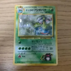 ブ*中様 エリカのフシギバナ　旧裏