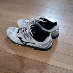 MIZUNO BREAK SHOT テニスシューズ メンズのサムネイル