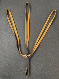 Item thumbnail for item a5dc4c6a-6931-4288-825a-8000a1d9f210