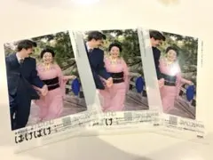 連続テレビ小説　ばけばけ　クリアファイル　3枚セット　NHK