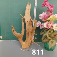 HX-147 流木 マシンガンウッド ホーンウッド アクアリウム ブランチ
