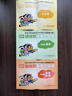 ジャック幼児教育研究所】ハイレベル領域別問題集 5冊セット - メルカリ