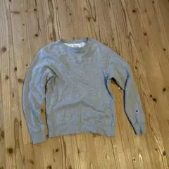 チャンピオントレーナー