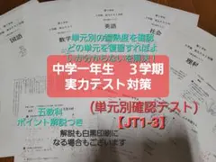 らるらる様 リクエスト 2点 まとめ商品