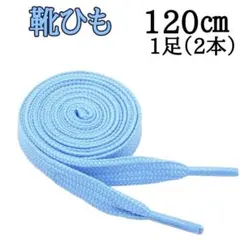 そらいろ 120cm 靴紐 シューレース 平紐 靴ひも スニーカー 無地