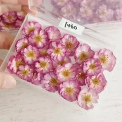 ひーちゃん様 リクエスト 2点 まとめ商品