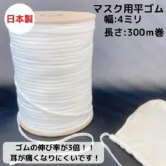 Item thumbnail for item f24506ca-0a0f-4b02-b940-319795c15233