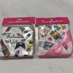 ディズニーミニタオルセット　ディズニープリンセス