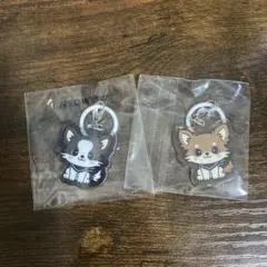 ØMI INFINITY MOON カプセル めじるし チャーム