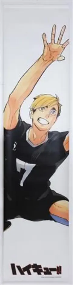 2025年最新】ハイキュー2mタペストリーの人気アイテム - メルカリ