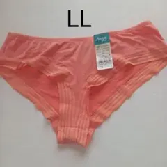 トリンプ　スロギーショーツLL