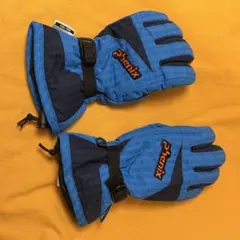 美品 Phenix フェニックス スキーグローブ ジュニア キッズ 子供用