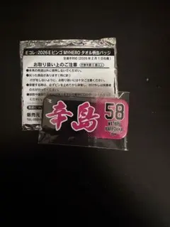 楽天イーグルス 缶バッジ 辛島航投手 58