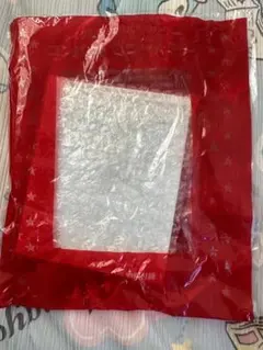 ディズニー　付録　コンパクトミラー　ミニーちゃん