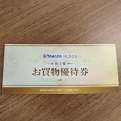 ヤマダ電機 お買物優待券 3000円分 6枚セット