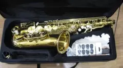 Item thumbnail for item e014dbaf-7d30-418b-a73a-fa71290c067c