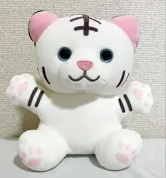 もちほわ 5周年記念 もちWhat ぬいぐるみ 郁田はるき